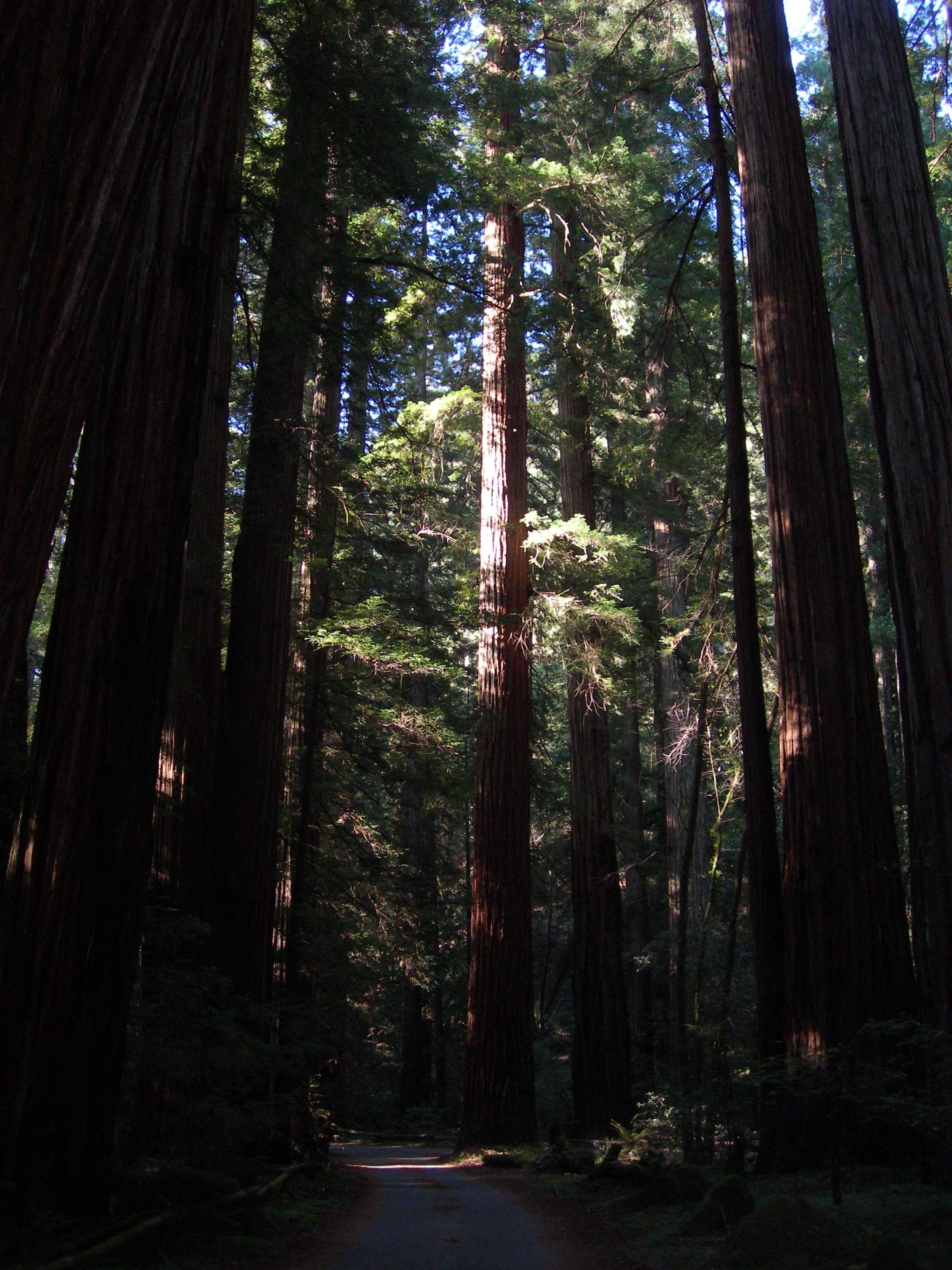 DSCN0107.JPG