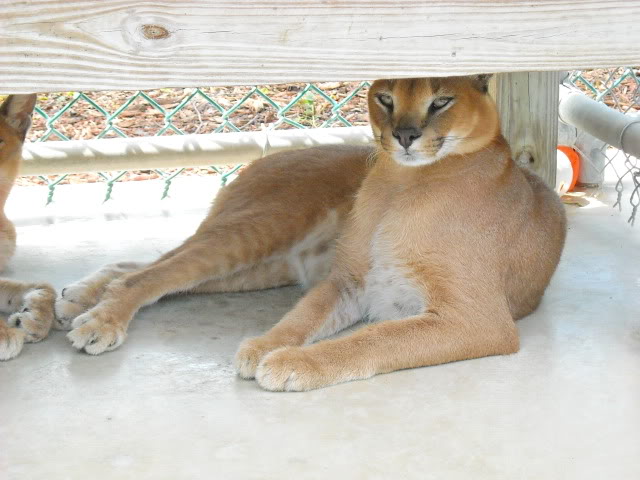 DSCN0160.jpg