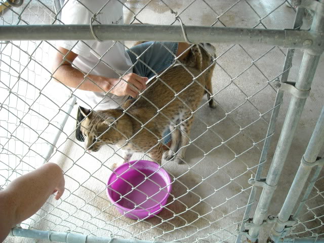 DSCN0162.jpg