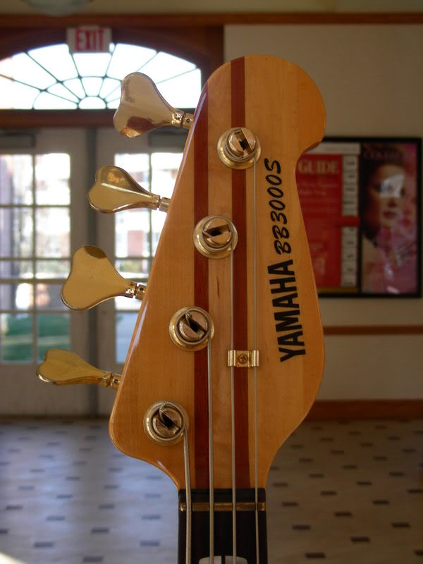 DSCN0203.jpg