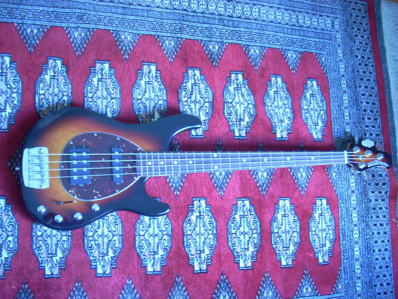 DSCN0239.jpg