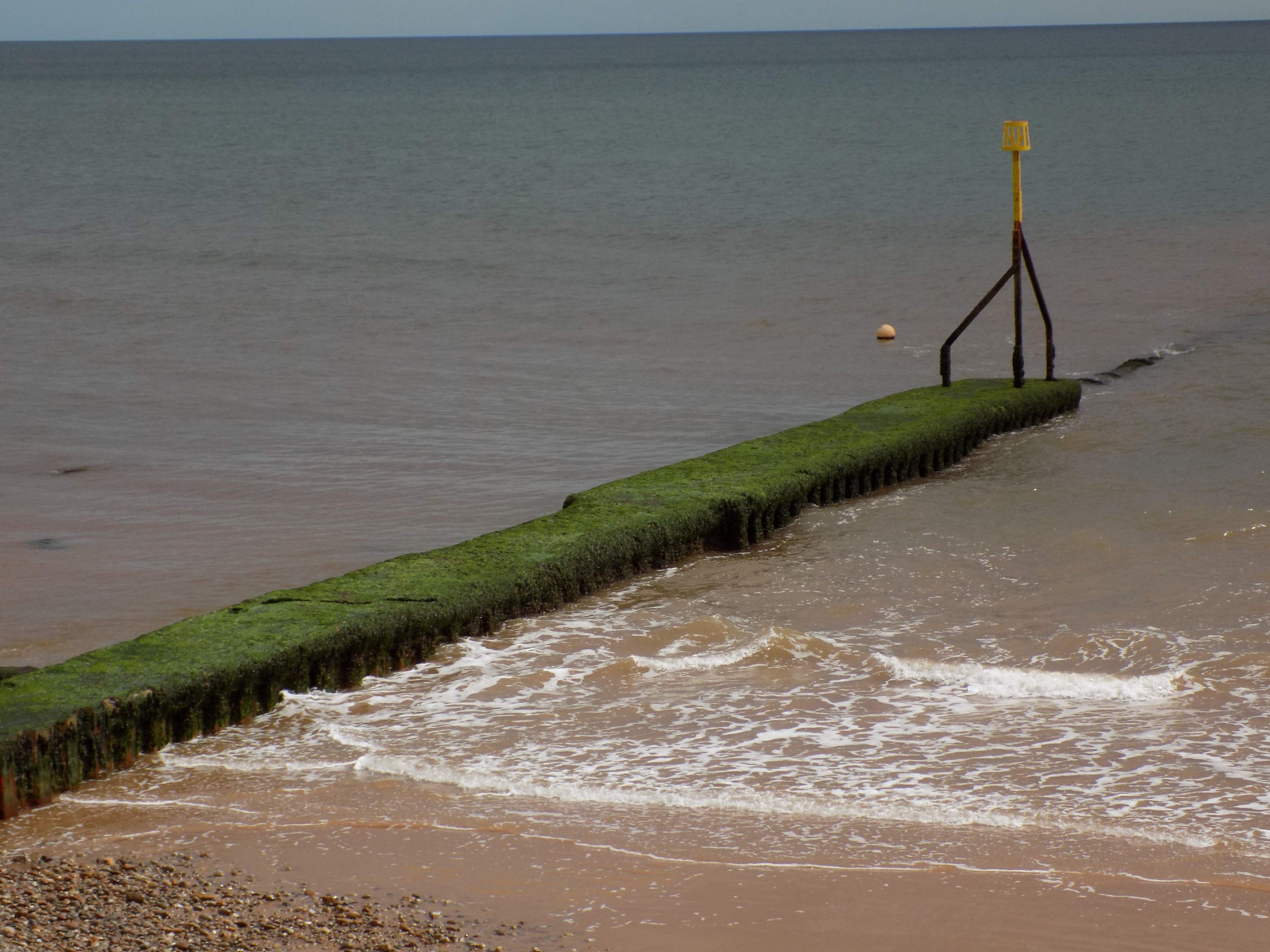 DSCN0309.JPG