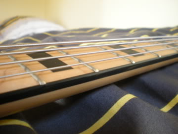 DSCN0331.jpg