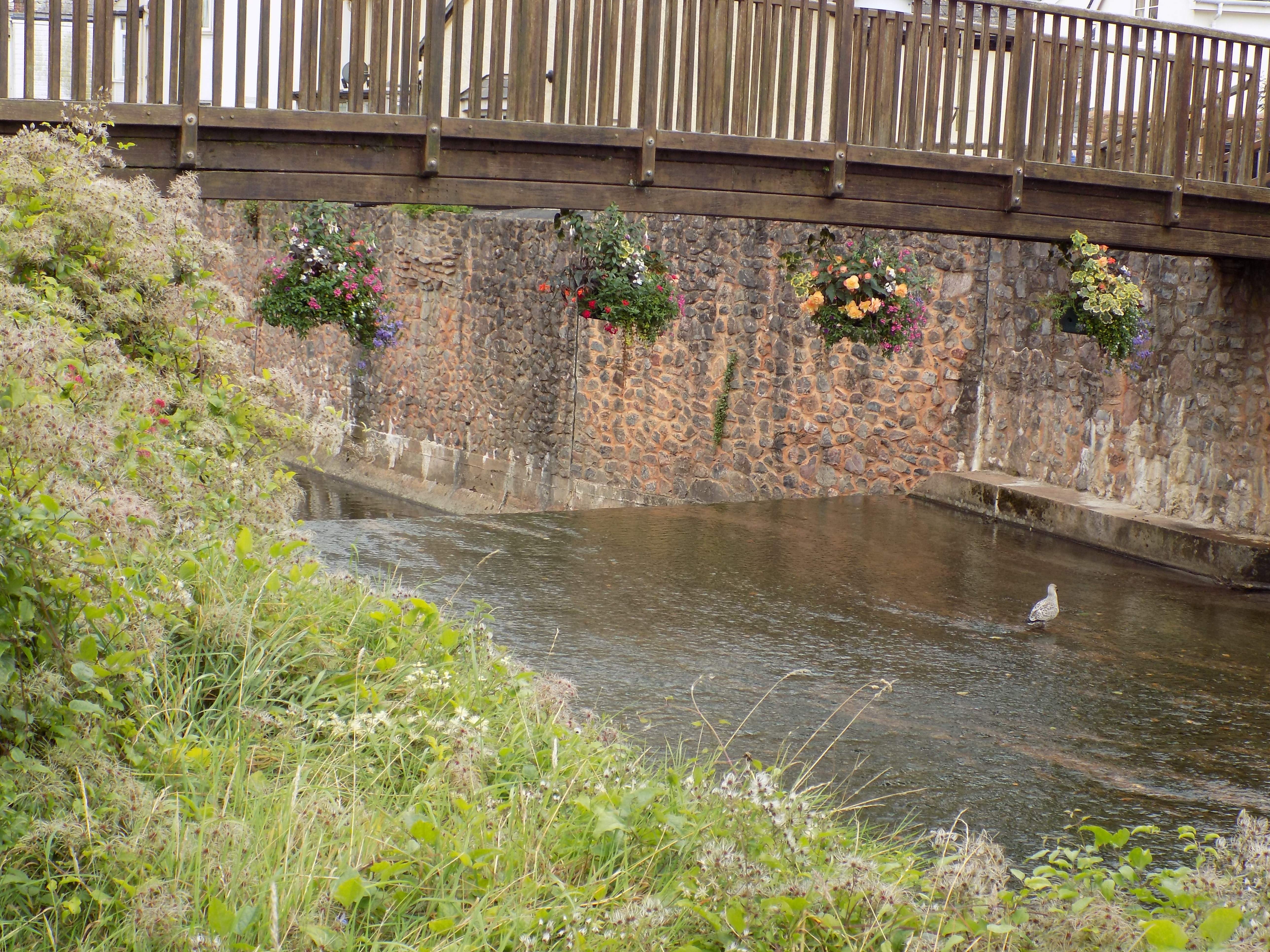 DSCN0372.JPG