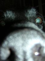 DSCN0460.jpg