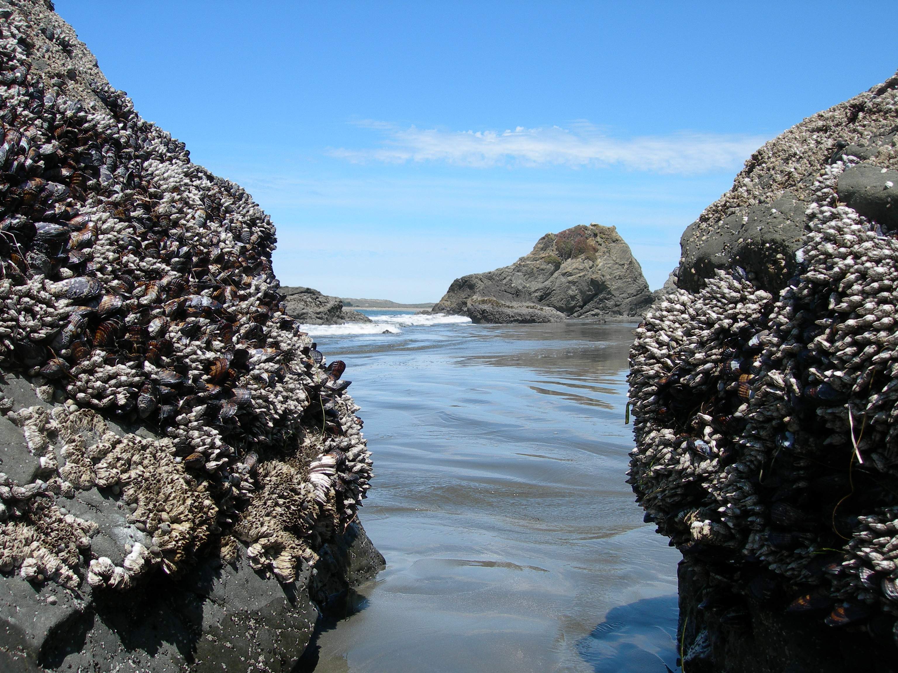 DSCN0483.JPG