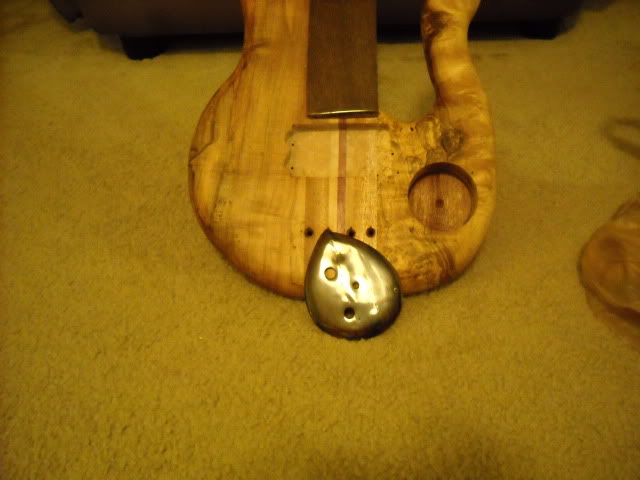 DSCN0513.jpg