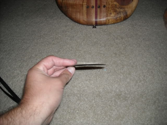 DSCN0517.jpg