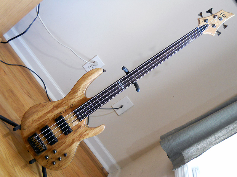 DSCN0555.jpg