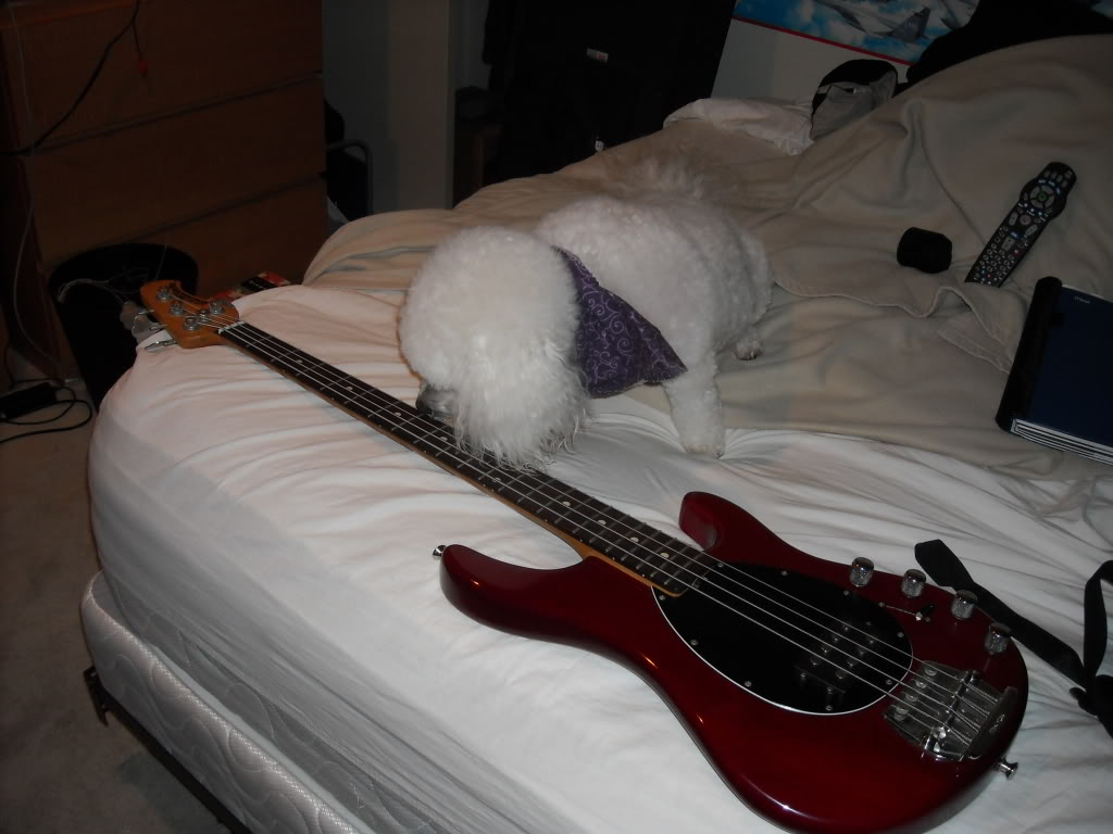 DSCN0610.jpg