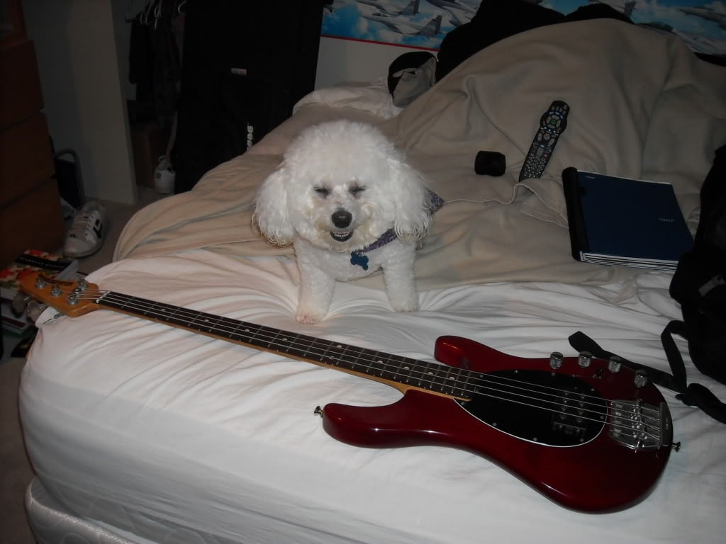 DSCN0611.jpg