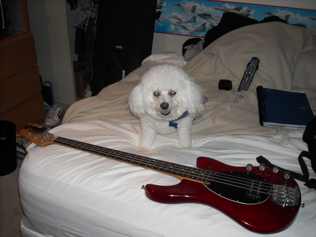DSCN0612.jpg