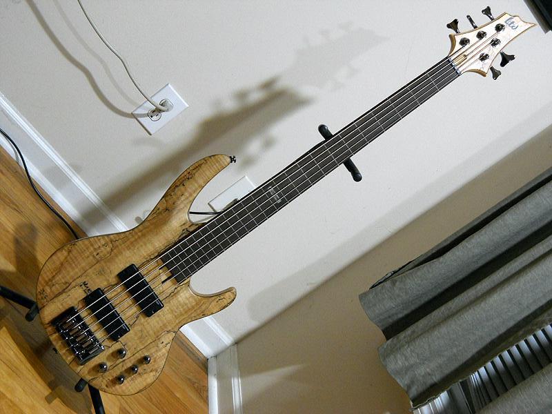 DSCN0617.jpg