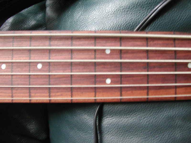 DSCN0625.jpg