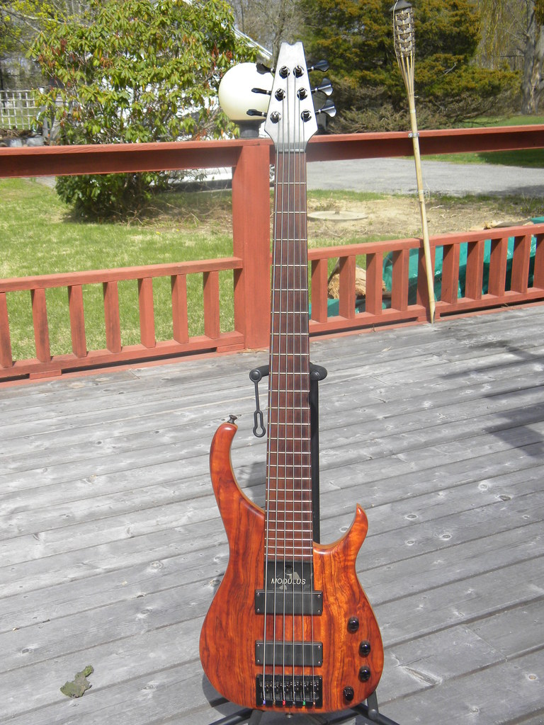 DSCN0671.jpg