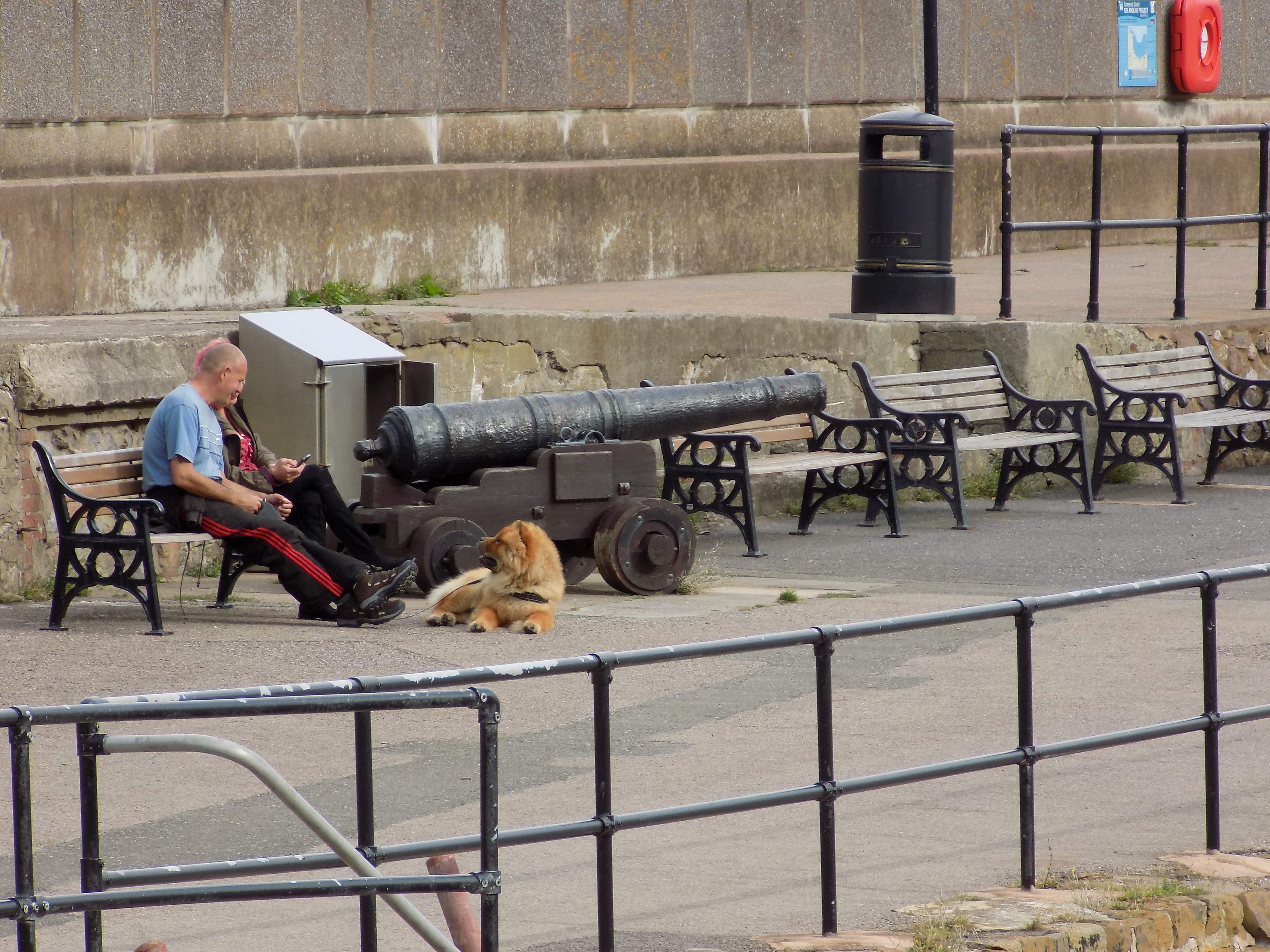 DSCN0686.JPG