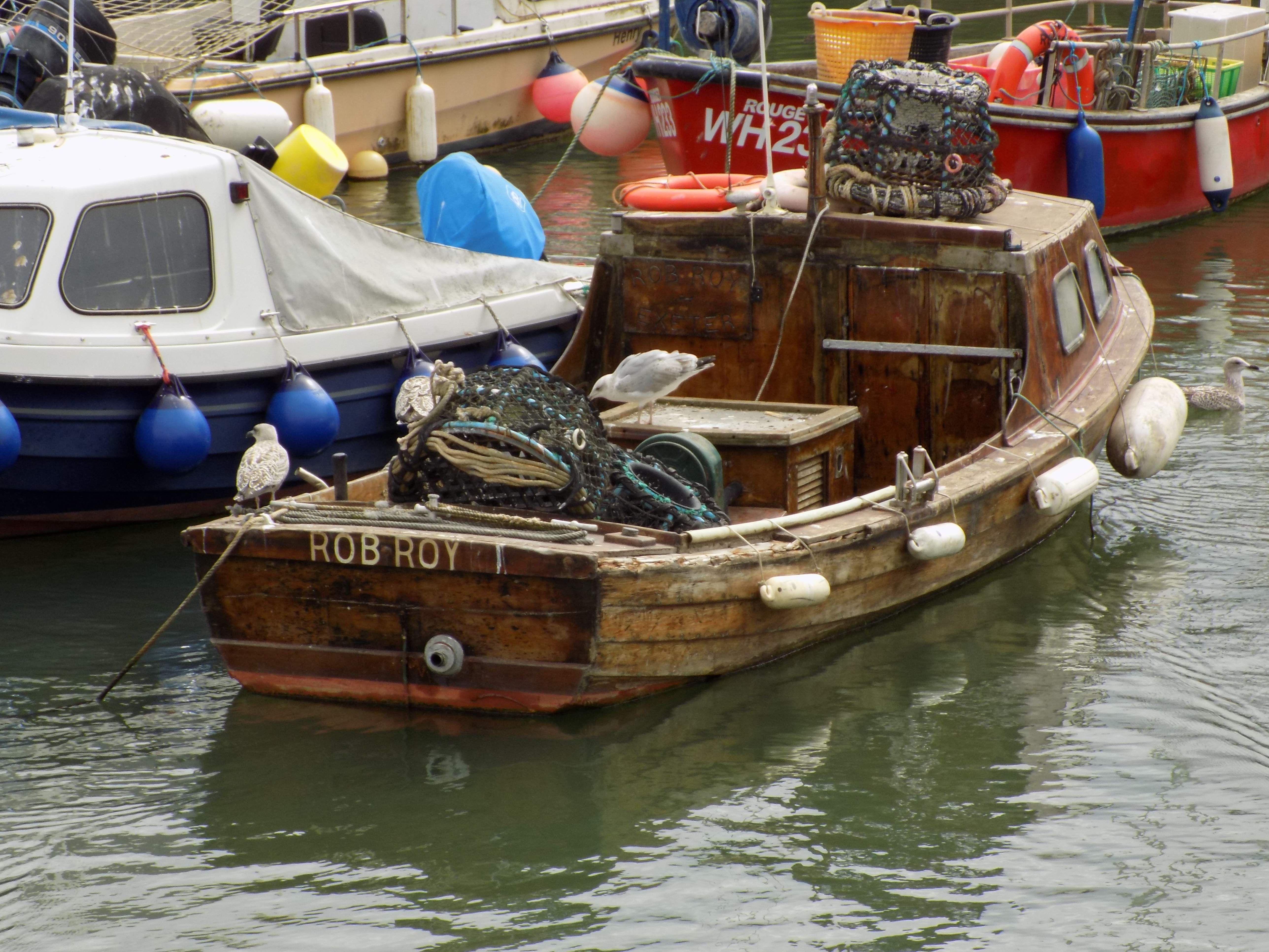 DSCN0746.JPG