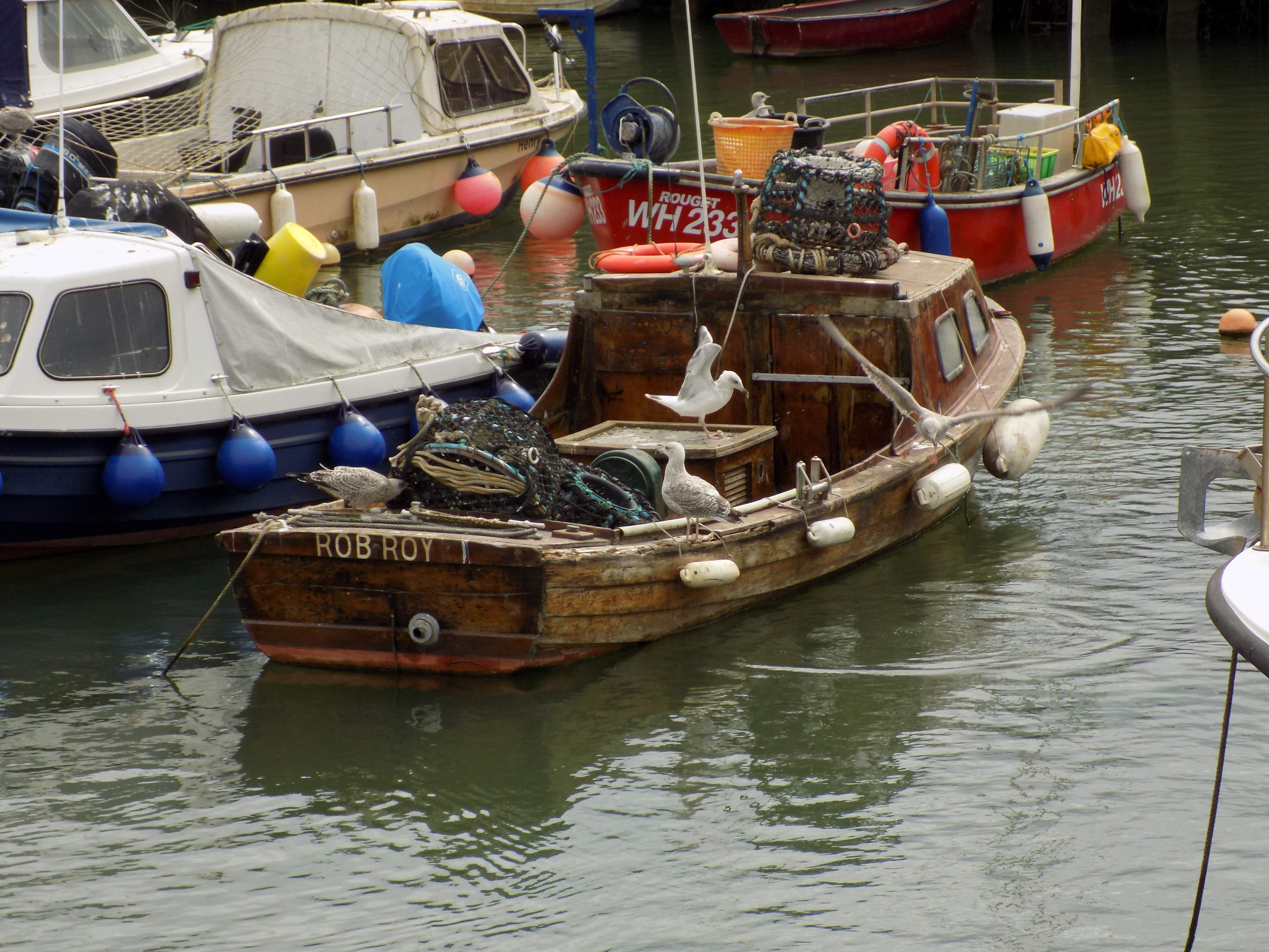DSCN0748.JPG