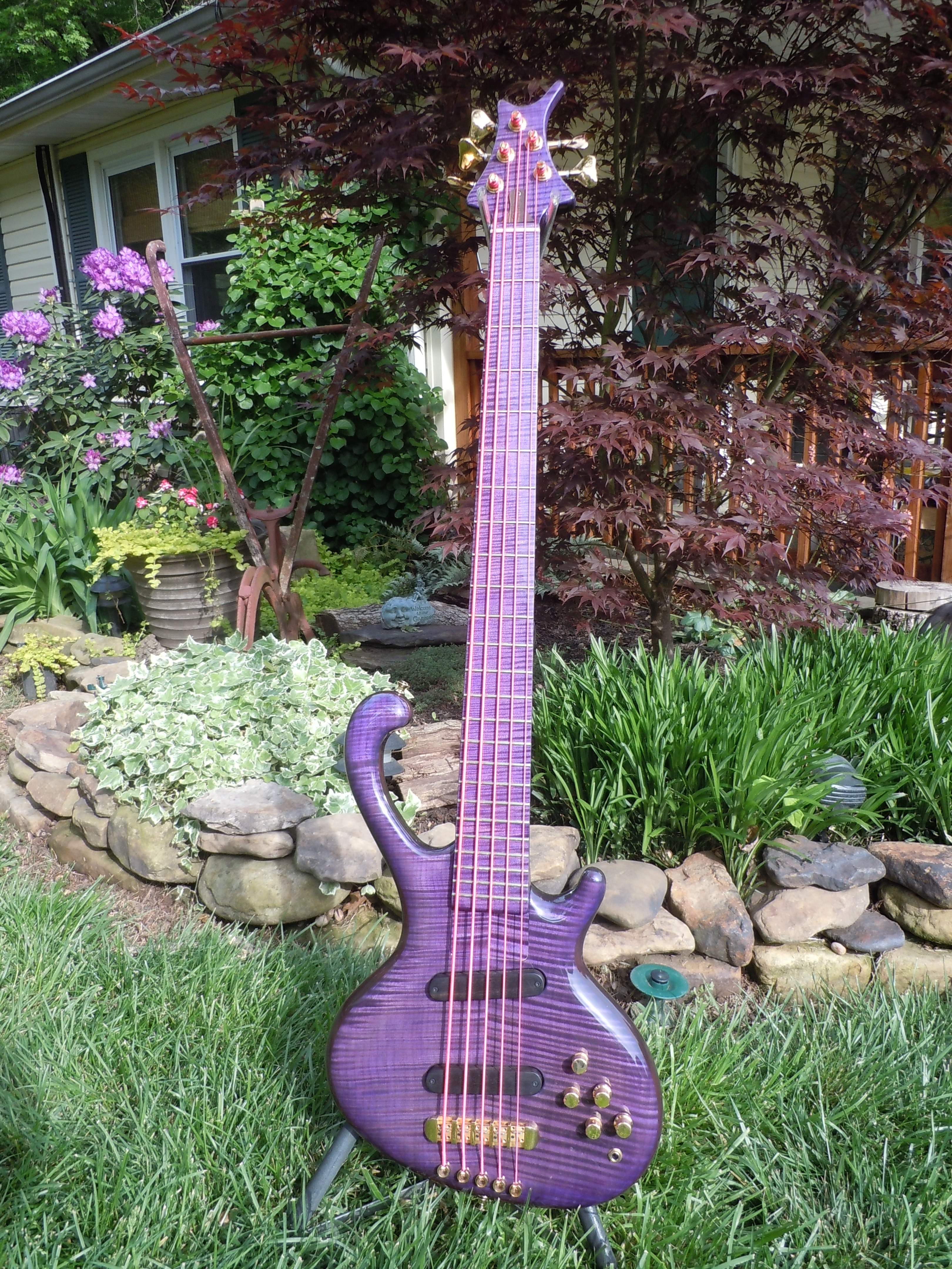 DSCN0950.JPG