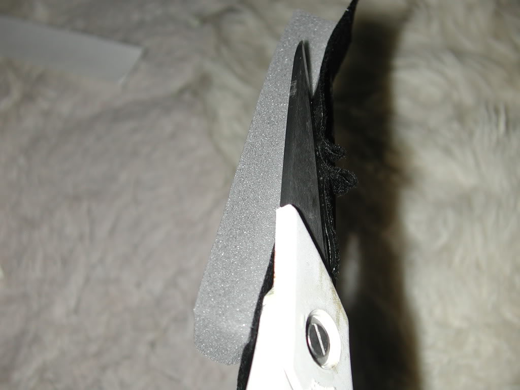 DSCN0956.jpg