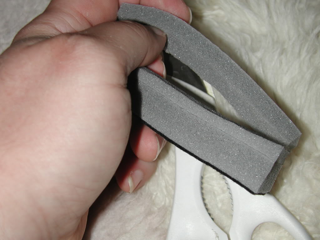 DSCN0959.jpg