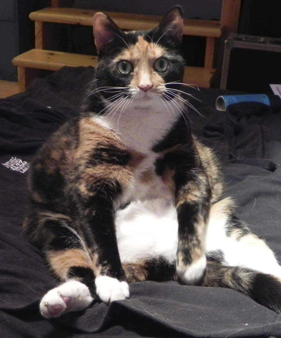 DSCN1039.jpg