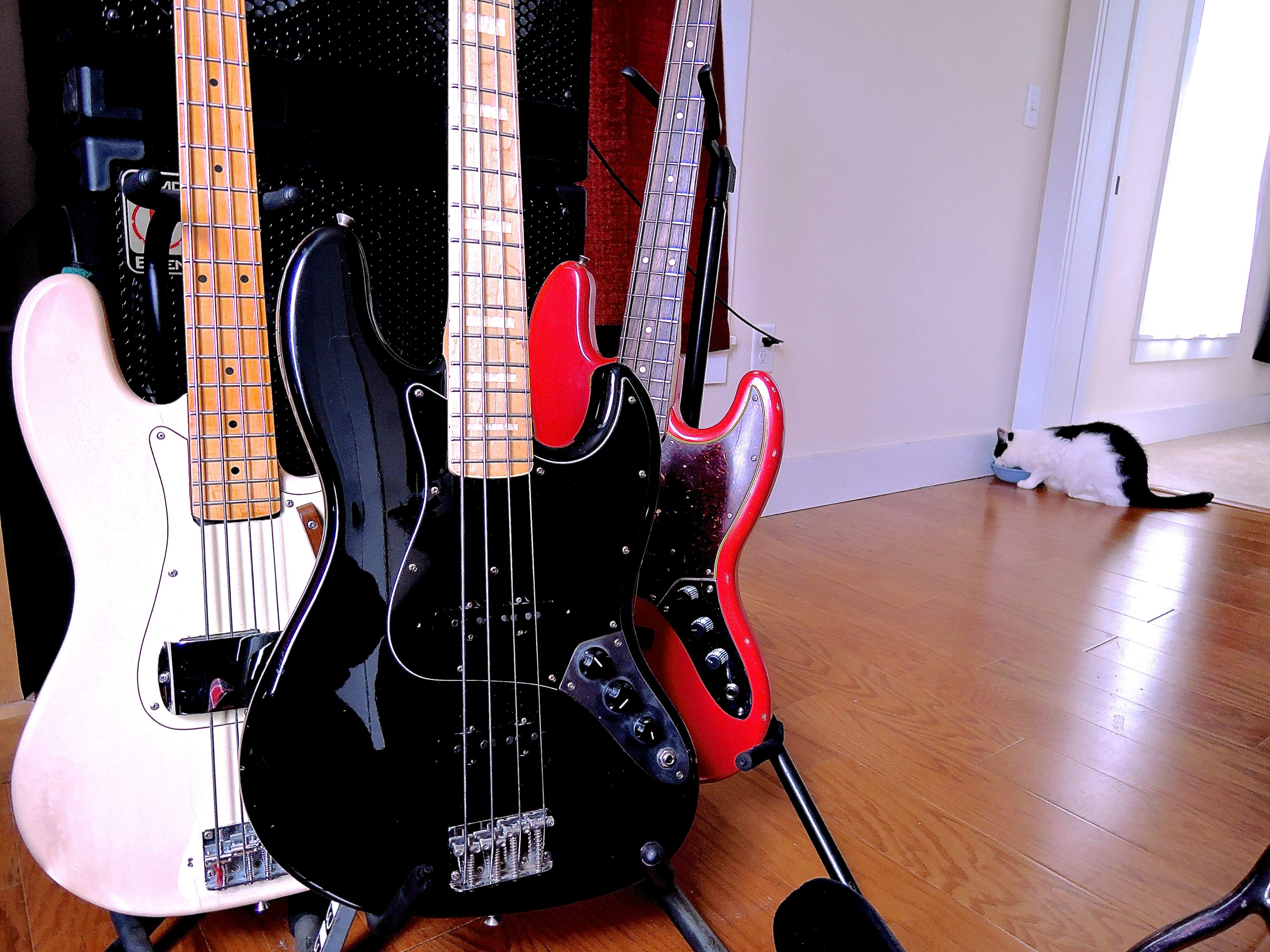 DSCN1139.JPG