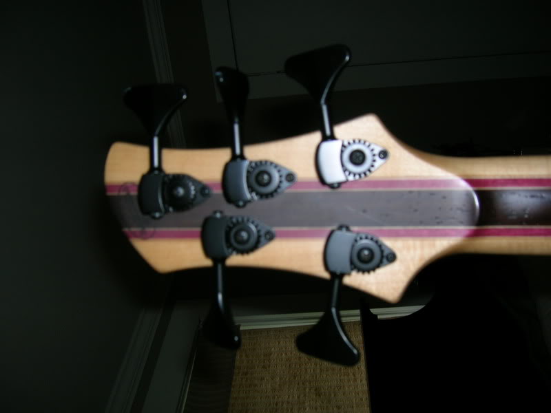 DSCN1166.jpg