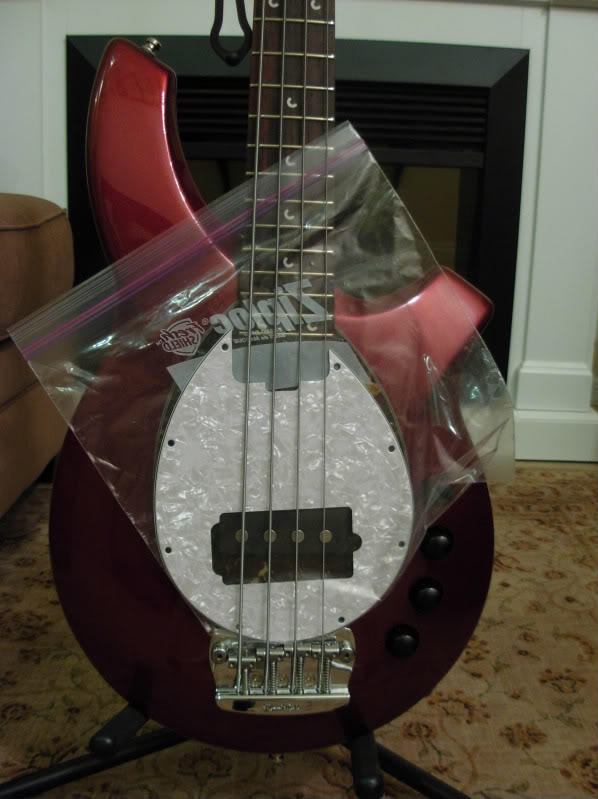 DSCN1173.jpg