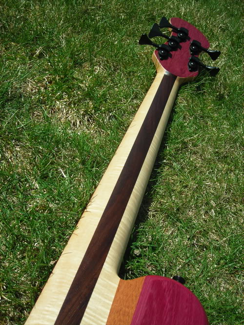 DSCN1198.jpg