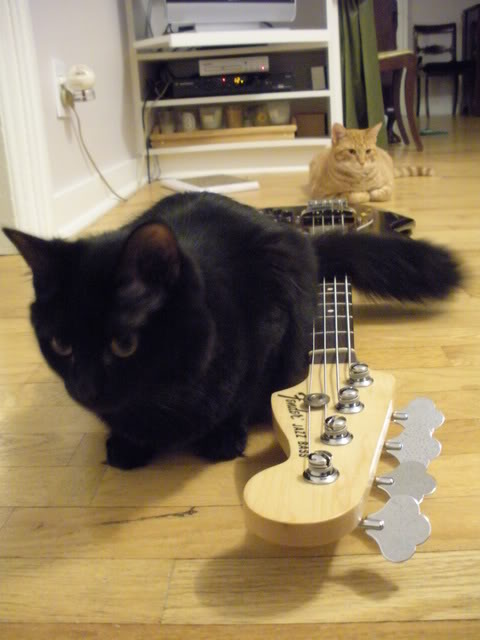 DSCN1271.jpg