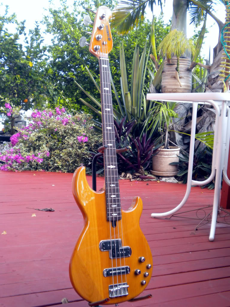 DSCN1411.jpg