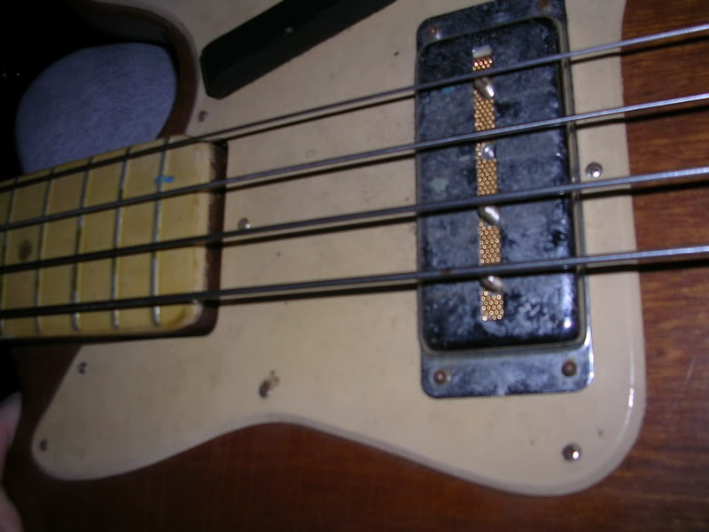 DSCN1429.jpg