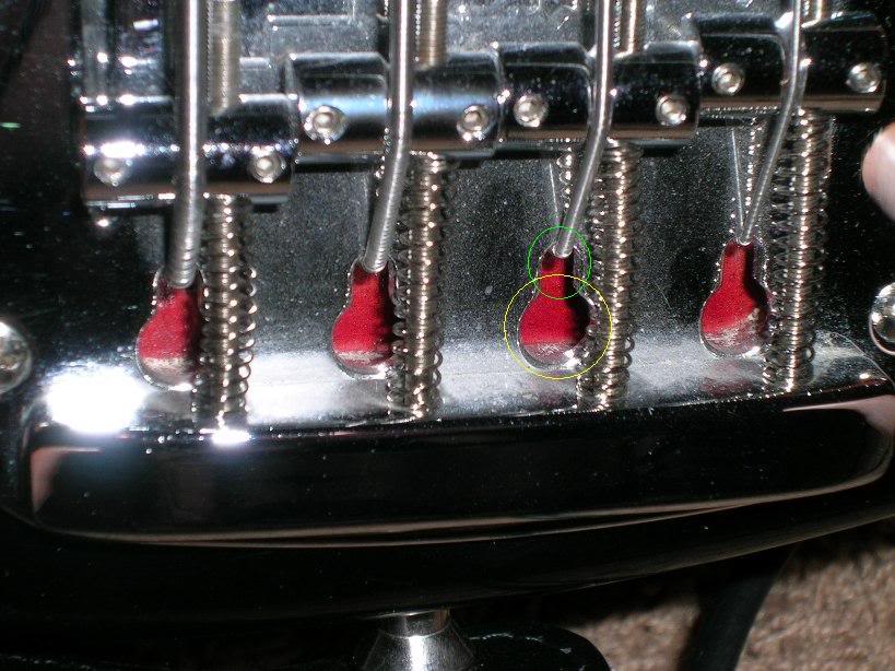 DSCN1453.jpg