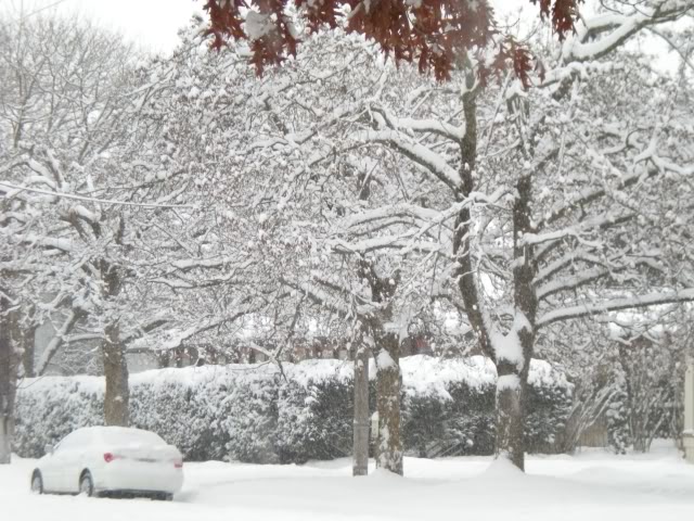 DSCN1459.jpg