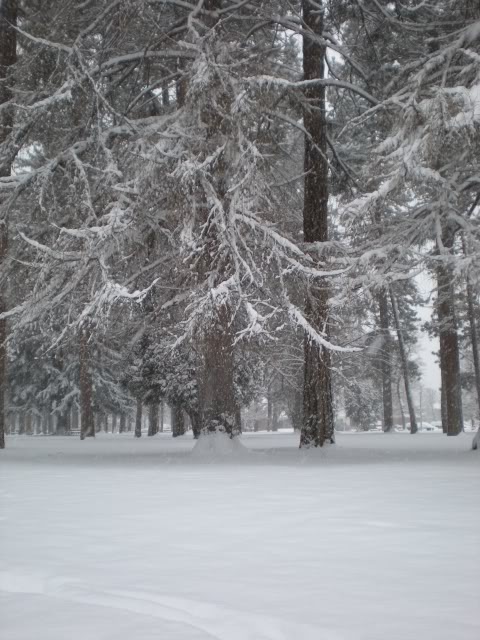 DSCN1466.jpg