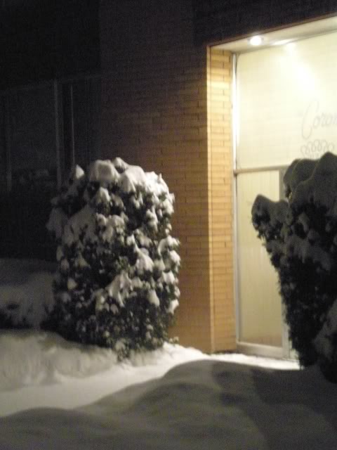 DSCN1511.jpg