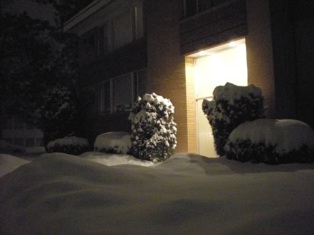 DSCN1512.jpg