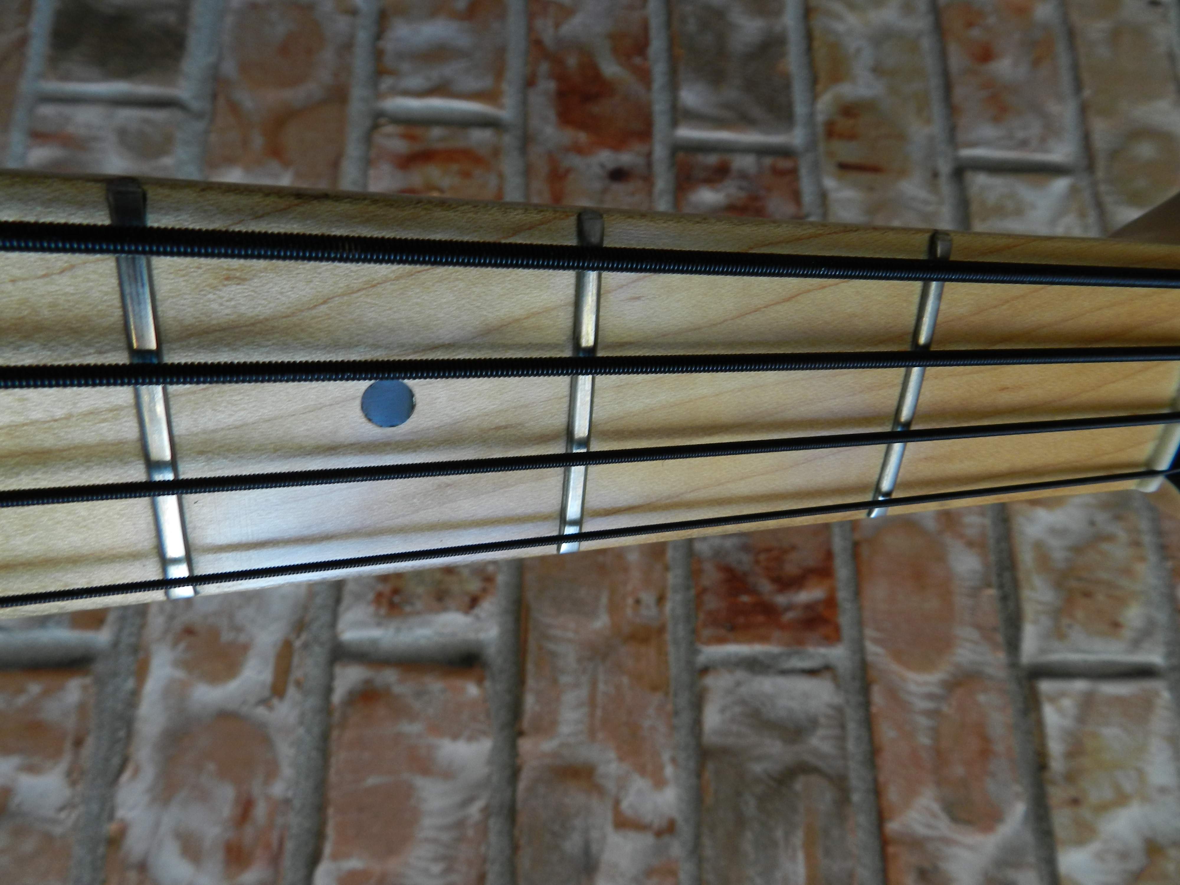 DSCN1519.jpg