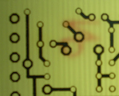 DSCN1520.jpg
