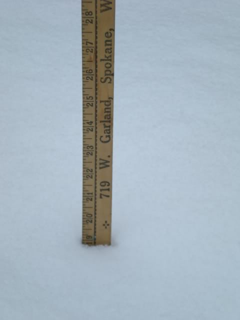 DSCN1527.jpg