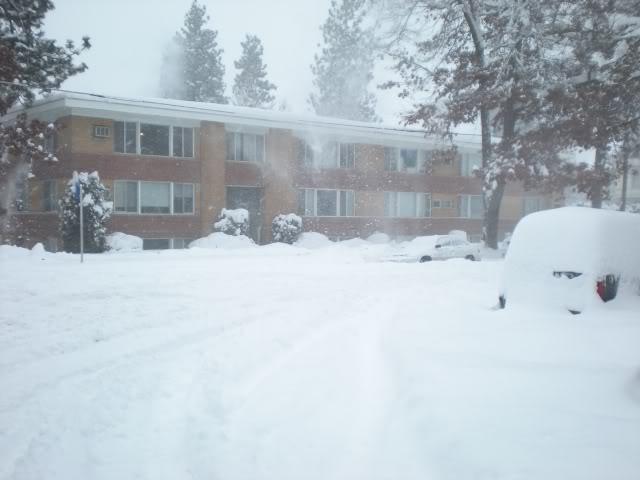 DSCN1531.jpg