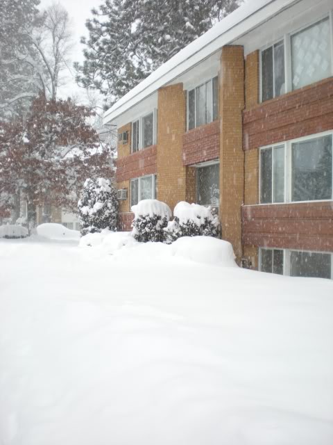 DSCN1535.jpg