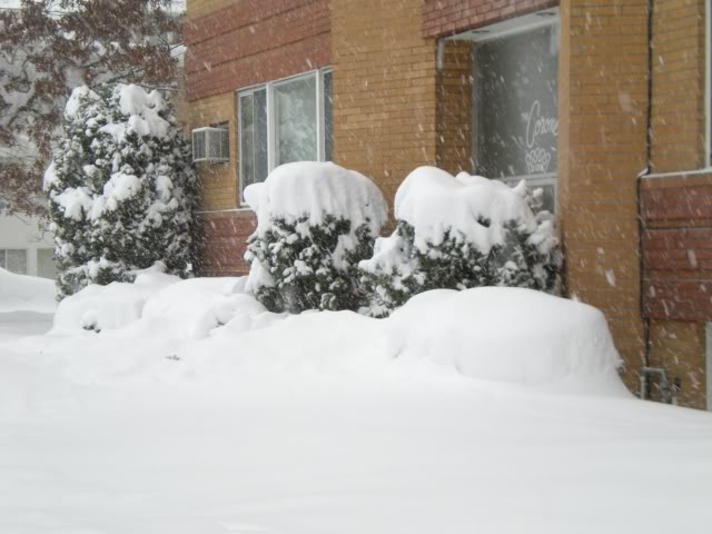 DSCN1537.jpg