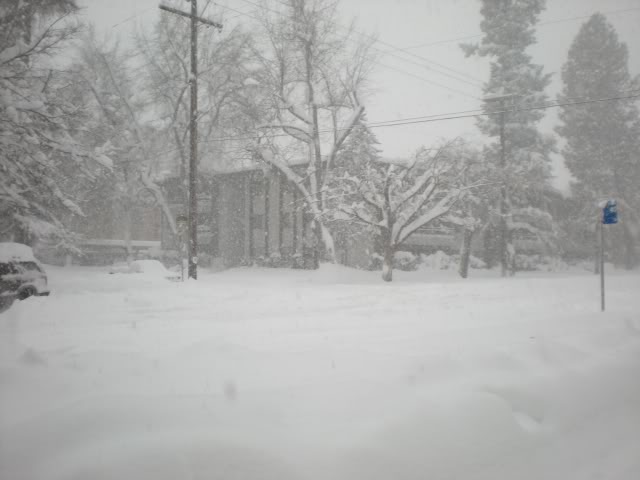 DSCN1546.jpg