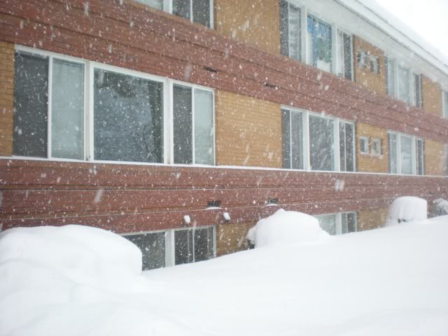 DSCN1547.jpg