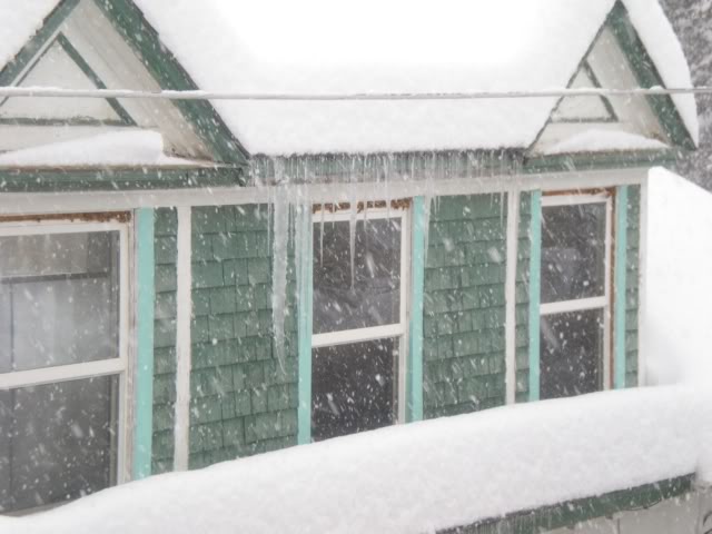 DSCN1559.jpg