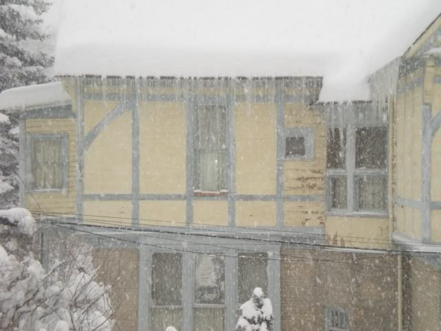 DSCN1561.jpg