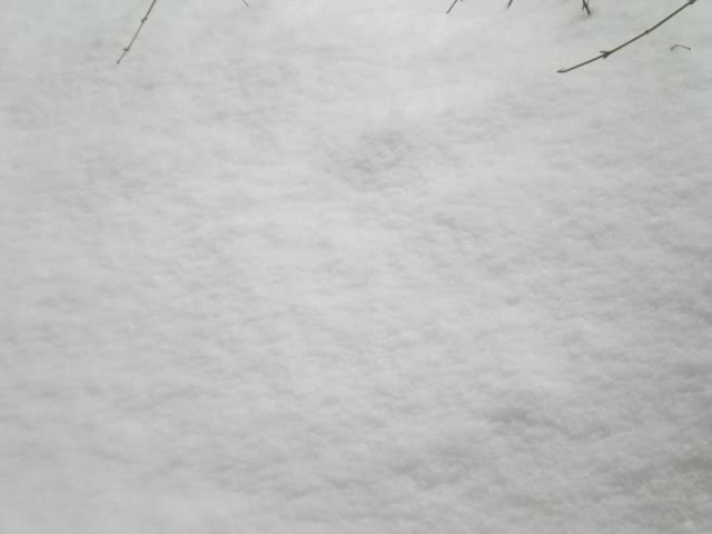 DSCN1564.jpg
