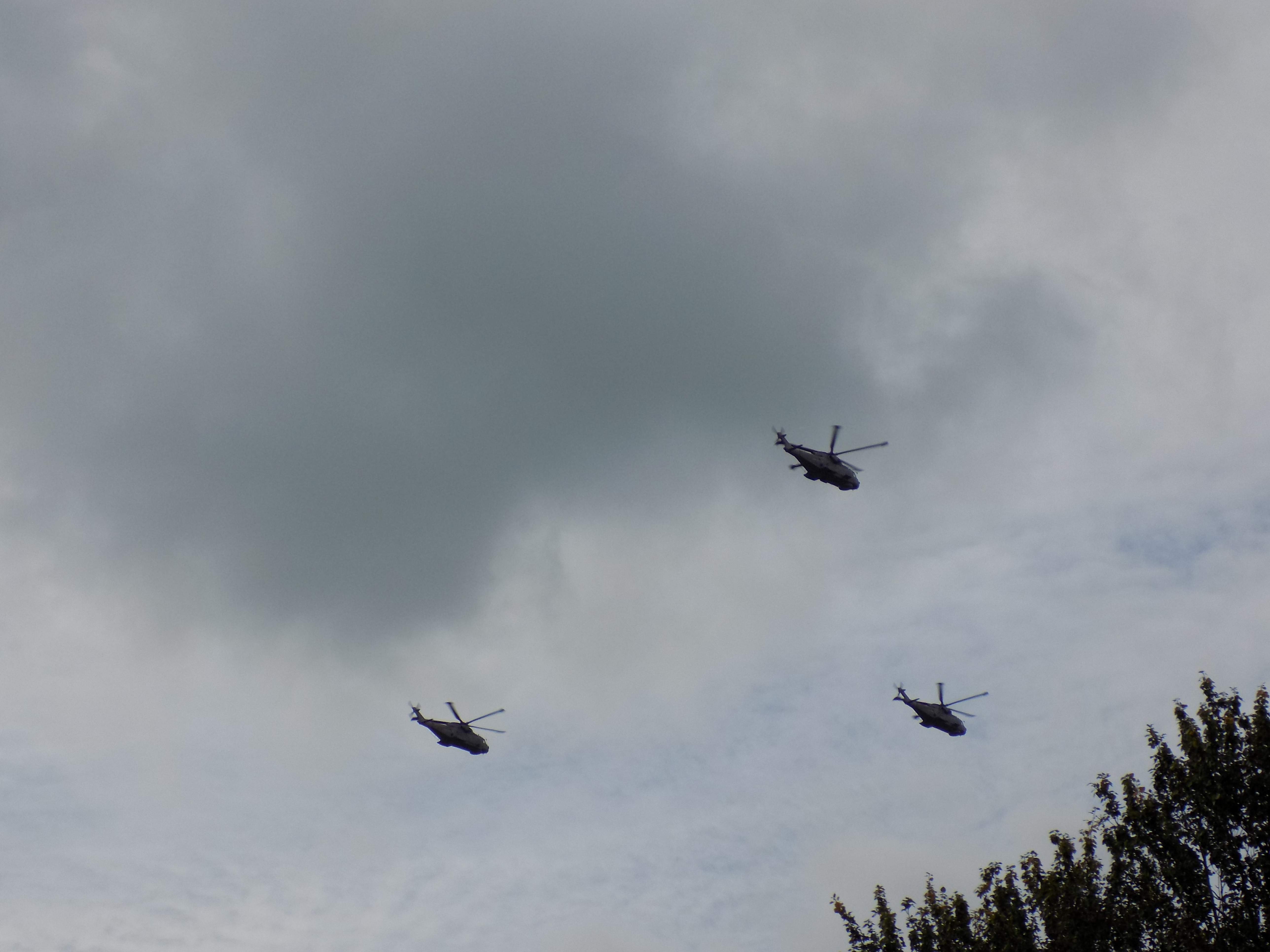 DSCN1583.JPG